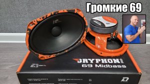 Овалы с бассом - DL Audio Gryphon Pro 69 MidBass