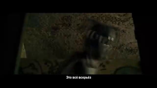 клип kartoon cat доброго против kartoon dog