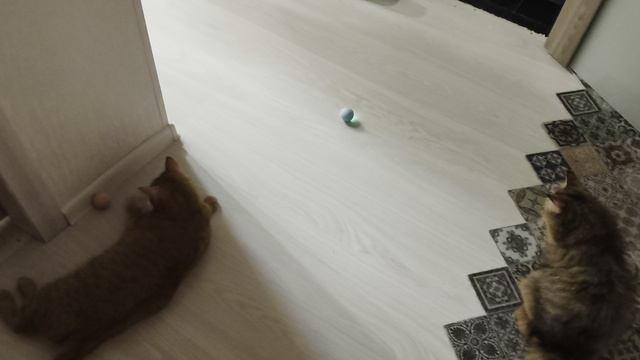 шары сами катаются.mp4