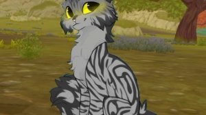 просто показываю семейство моего перса