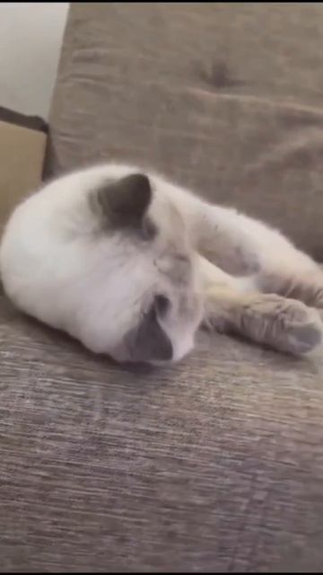 Ты навсегда в наших сердцах!