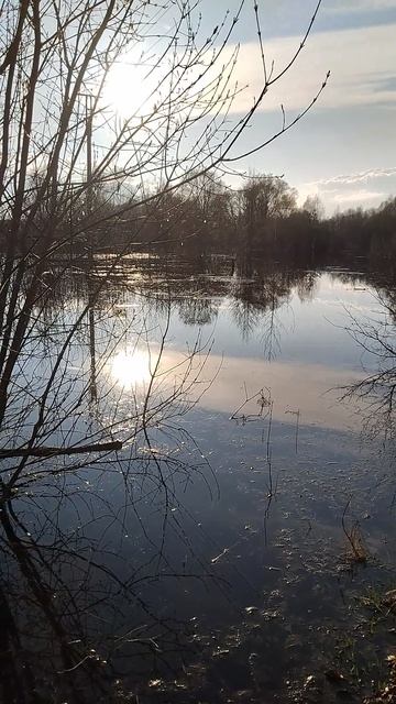 Тропинка и вода.