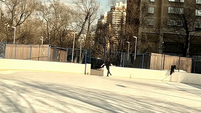 На асфальте и на льду. На коньках и роликовых коньках.
