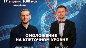 Эфир о новинках Шаперонов и Молекурярный коктейли, Сиропы Годжи и Асаи. Антикор.