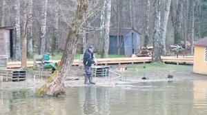 Запуск от 18.04.26