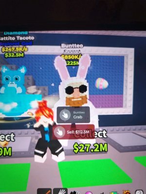 Брэинроты чекссс