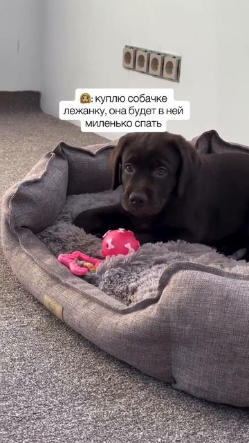 И так всегда…