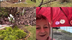 НОВОСТИ С ДАЧИ 18.04.26г.