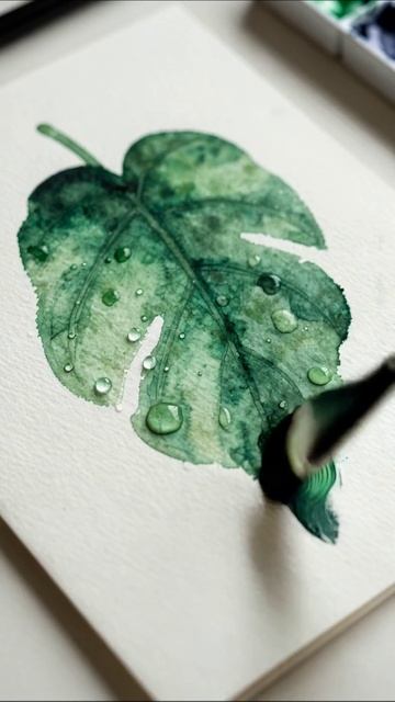 Акварельный лист с каплями воды #акварель #искусство #натюрморт