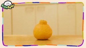 Everyday life of PushPush  Apples come and go  Puppet PushBaby Official