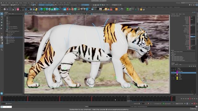 2. Exploring The Tiger Rig And Reference