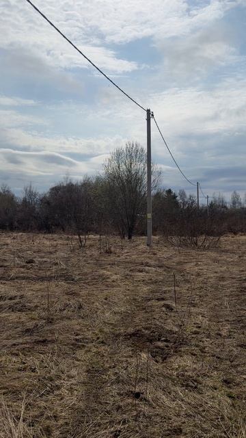 Продается земельный участок 25 соток в д. Рябинино. Рядом лес, плотина. Свет и газ по границе