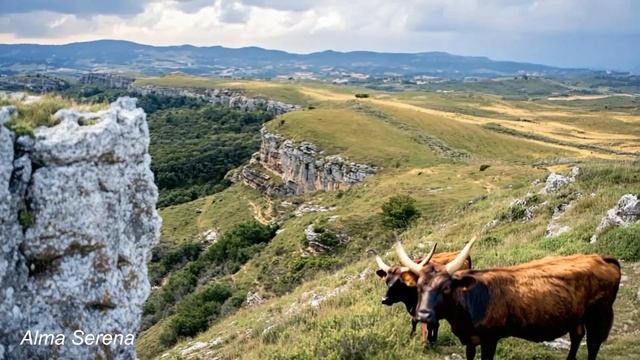 🎵 Un Momento Para Mí 💙 Música Para La Paz Interior #9