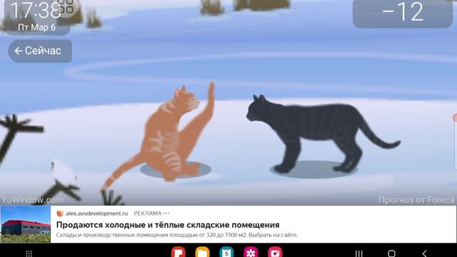 YoWindow: Коты дерутся