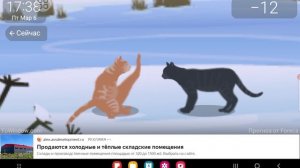 YoWindow: Коты дерутся