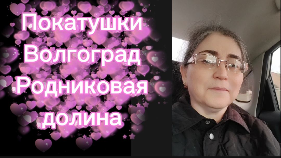 Покатушки по Волгограду С собакой за рулём