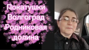 Покатушки по Волгограду С собакой за рулём