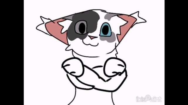 Колаб с северным туманом