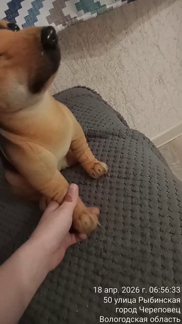 моё первое видео