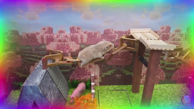 Хомяк против кальмара! Игровой вызов. часть 6