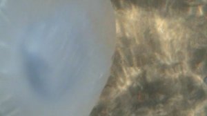 40)М ДЖЕМЕТЕ МЕДУЗА