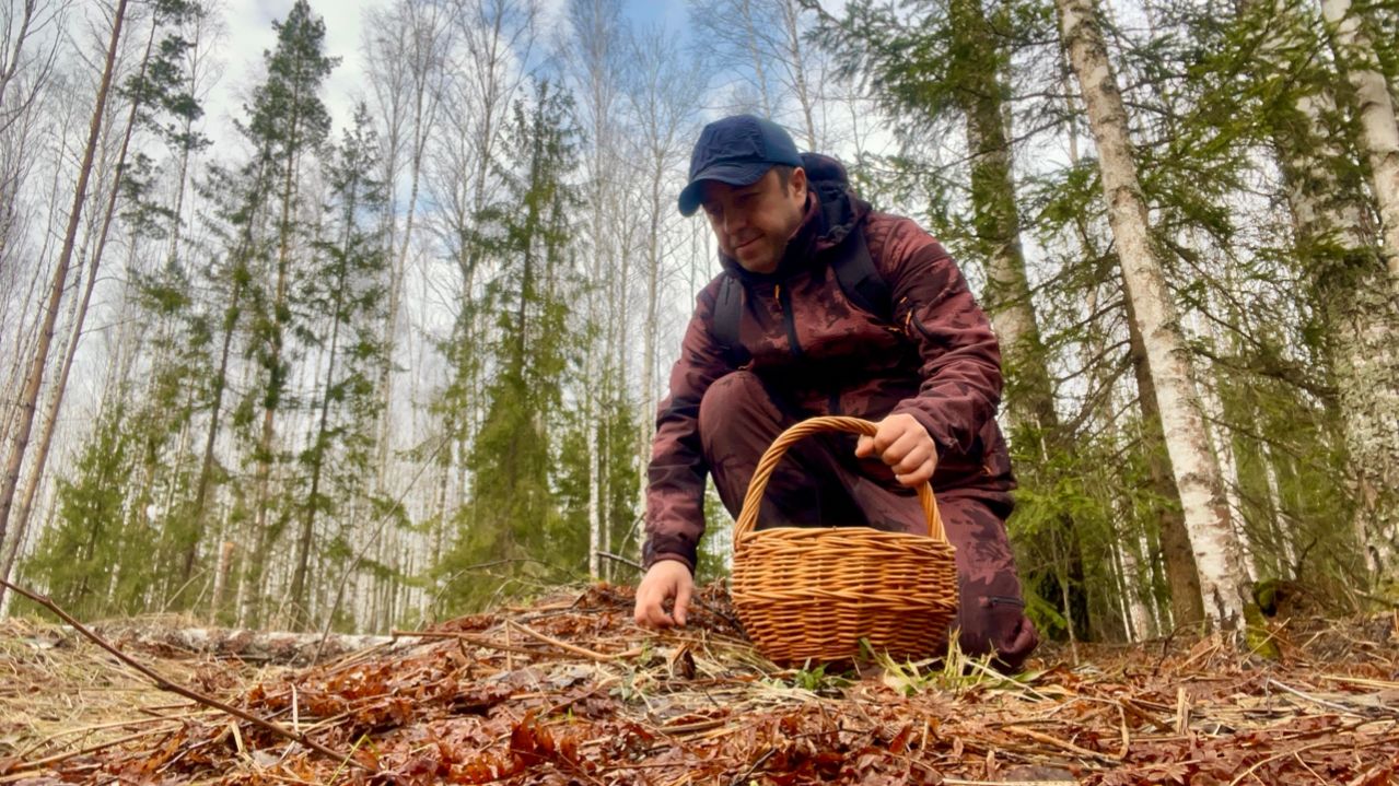 ВЕСЕННИЕ ГРИБЫ ПОШЛИ В АПРЕЛЕ! Грибы 2026
