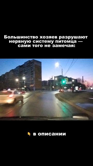 Большинство хозяев разрушают