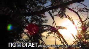 Слава Богу за милость (караоке)