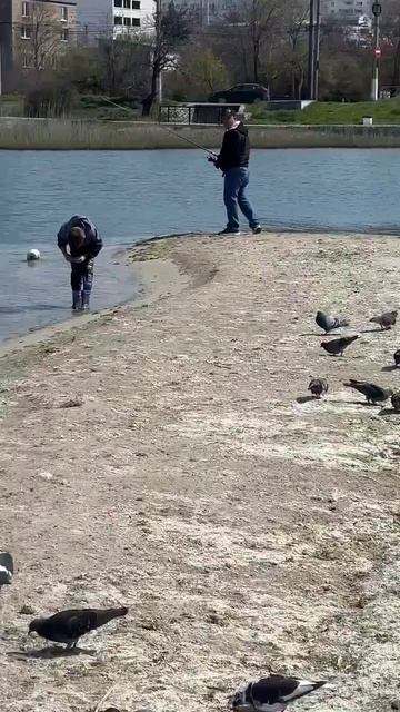 Пляж ОМЕГА | #СЕВАСТОПОЛЬ