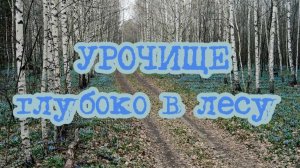УРОЧИЩЕ ГЛУБОКО В ЛЕСУ