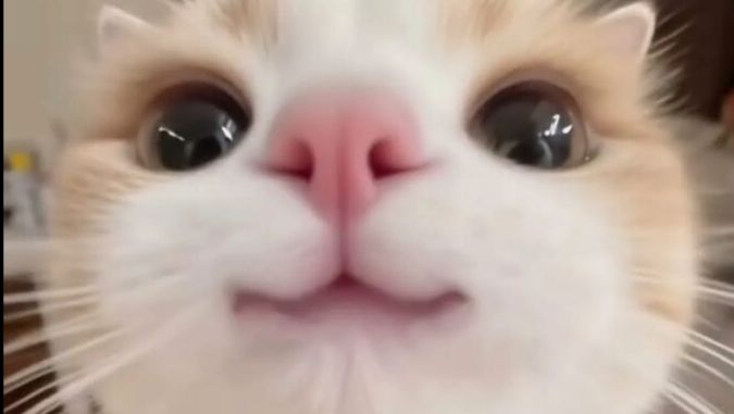 Прикол над дариной