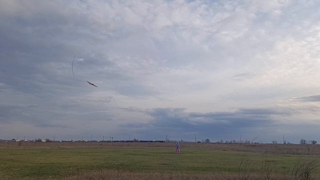 кордовый Воздушный Бой. Тренируем прямые и обратные растянутые восьмёрки, переходы в обратный полёт