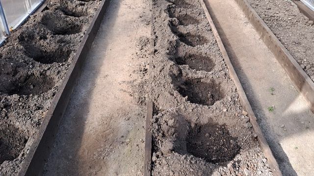 обработка сада по розовому конусу.Рассада..иии апрельская красота!!!