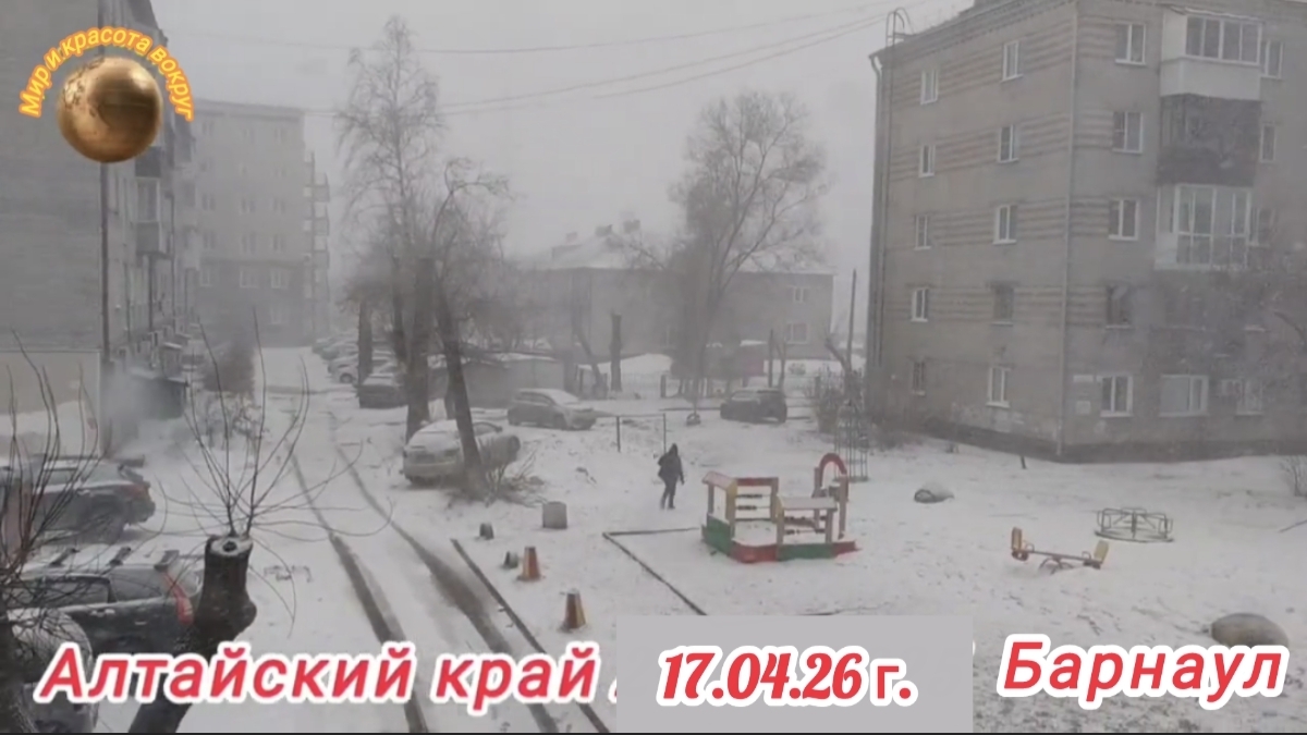 Алтайский край. Такой весны в Алтайском крае не было уже давно💥💥💥