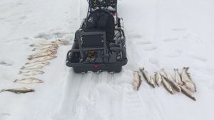 Закрытие Зимней рыбалки