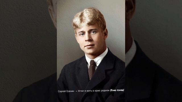 Есенин - Устал я жить в краю родном (нейрокавер)