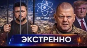 США против Зеленского давление на ЕС и НАТО усиливается, Залужный раскрывает правду