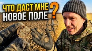 1204 / По следам ушедших деревень #3 /  Коп монет 2026 / Поиск монет и кладов с XP Deus 2