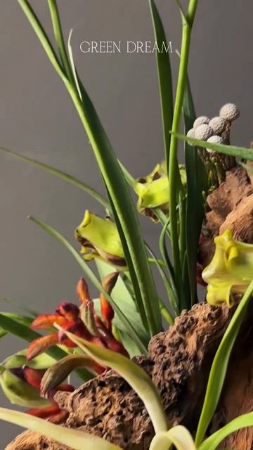 Лесная композиция, созданная на заказ 🌱🌿