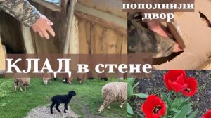 Жизнь в Адыгее/ Секретная находка/И снова в Белореченск/ А нам все мало/Чувства не проснулись/