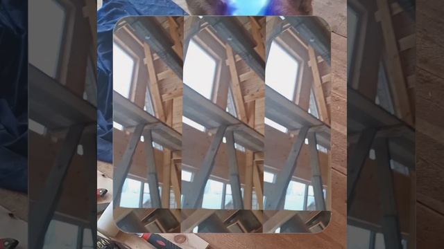 1000056347.mp4 (Собака наблюдает за устройством лестницы на 2-ой этаж в доме А-фрейм)