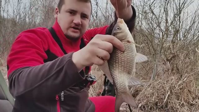 Ловля весенних карасей на чеснок и анис Рыбалка на поплавок весной 2026