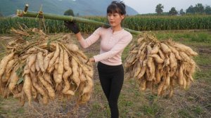 Картофель созрел и готов к сбору. Жареные пирожки со сладким картофелем! Ну вот и готово!