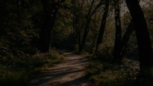 Тихо и печально.mp4