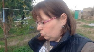 Неделю не была на дачи.Переживала за помидоры.