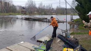 Светлые Горы Форель19 18.04.2026г.