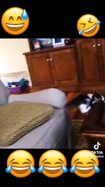 34fce5cd72d30426afe02fe430bba3f1.mp4