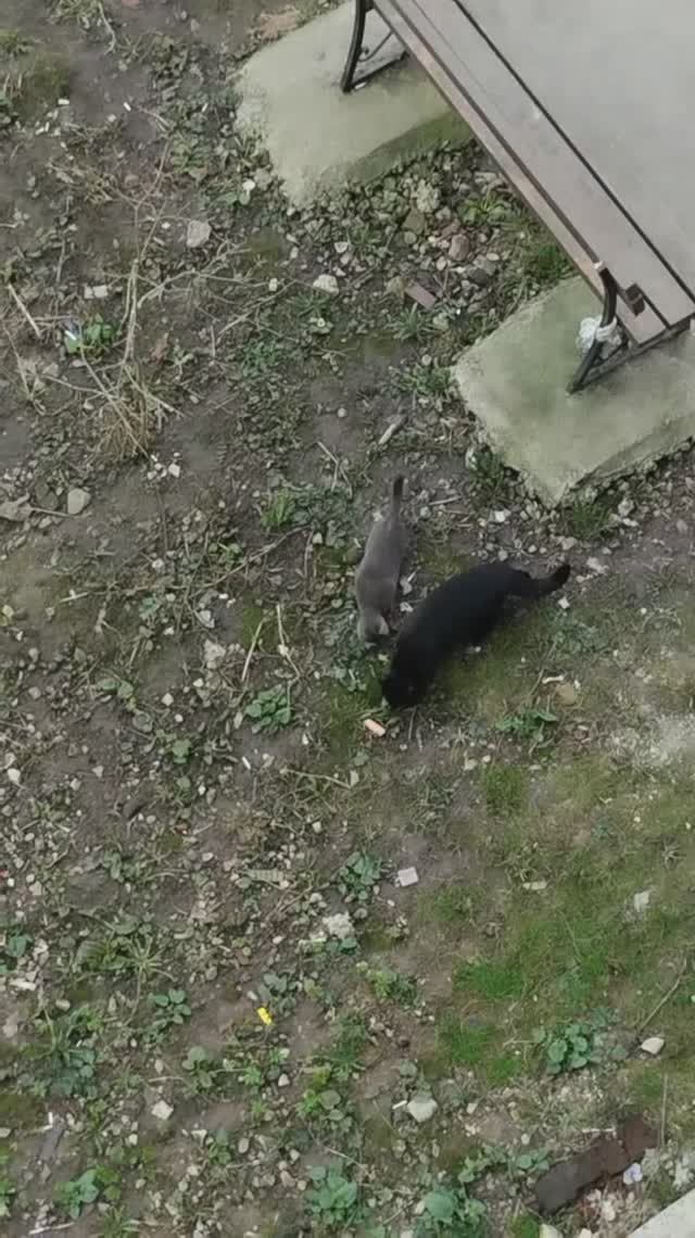 PXL_20260418_161435541