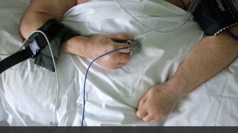 Инфекционист указал на приспособление оспы обезьян к человеческому организму