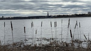 Влог с 7 по 18 апреля 26 года. Вяжу платье, носочки. Немного обо всем